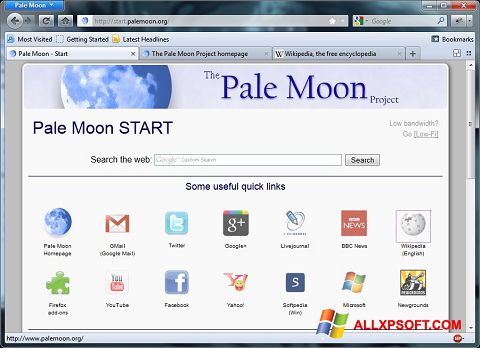 スクリーンショット Pale Moon Windows XP版