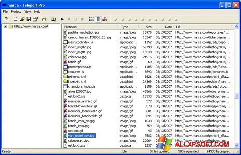 スクリーンショット Teleport Pro Windows XP版