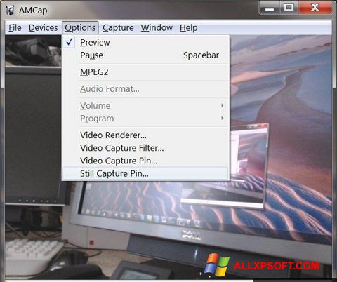 スクリーンショット AMCap Windows XP版