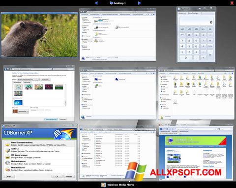 スクリーンショット Dexpot Windows XP版