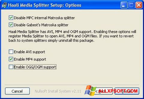 スクリーンショット Haali Media Splitter Windows XP版