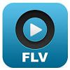 FLV Player Windows XP版