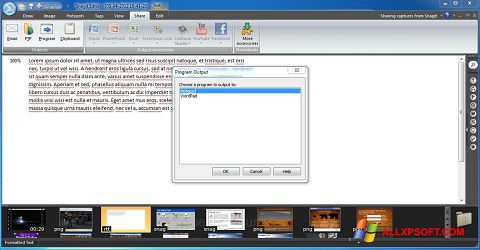 スクリーンショット Snagit Windows XP版
