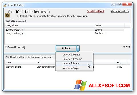 スクリーンショット IObit Unlocker Windows XP版