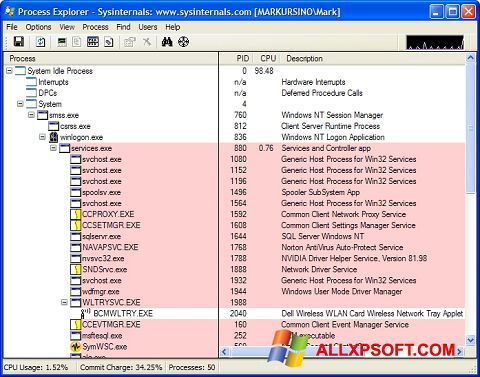 スクリーンショット Process Explorer Windows XP版