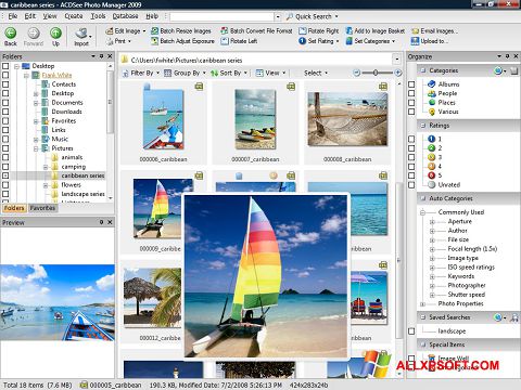 スクリーンショット ACDSee Photo Manager Windows XP版