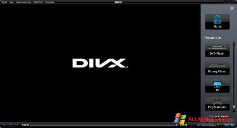 スクリーンショット DivX Player Windows XP版