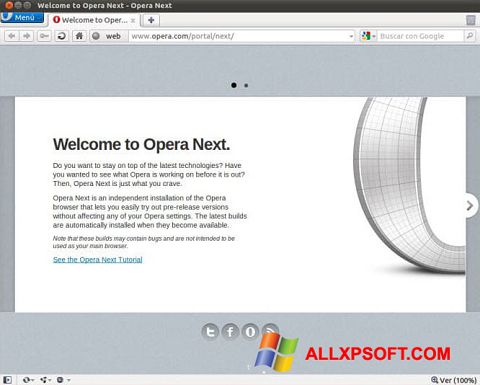 スクリーンショット Opera Developer Windows XP版